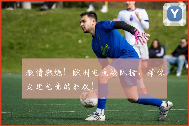 激情燃烧!欧洲电竞战队榜,带你走进电竞的狂欢!