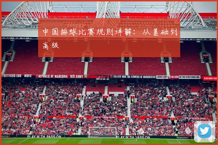 中国排球比赛规则详解：从基础到高级