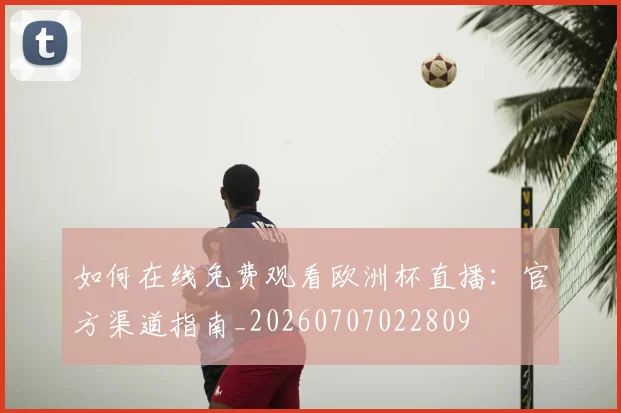 如何在线免费观看欧洲杯直播：官方渠道指南_20260707022809