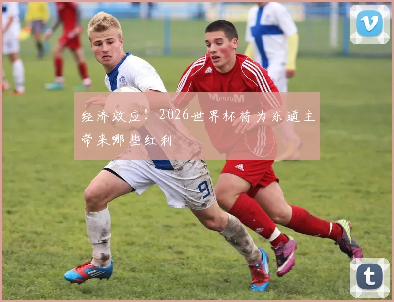 经济效应!2026世界杯将为东道主带来哪些红利