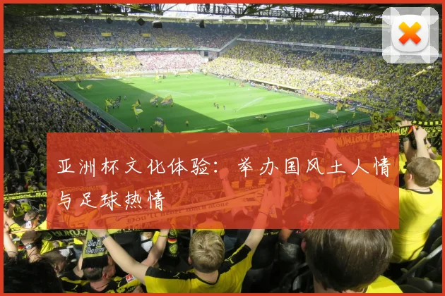 亚洲杯文化体验:举办国风土人情与足球热情